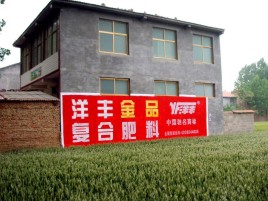 南华如何让墙体广告展现最大化效果