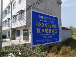 南华墙体广告质量分析