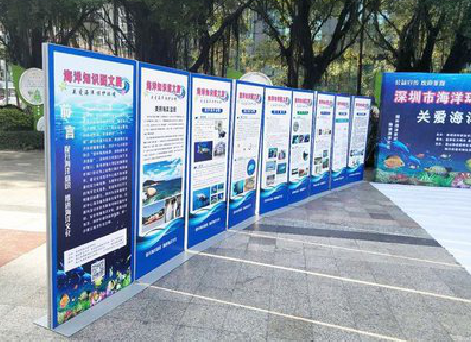 南华KT板的种类和知识。